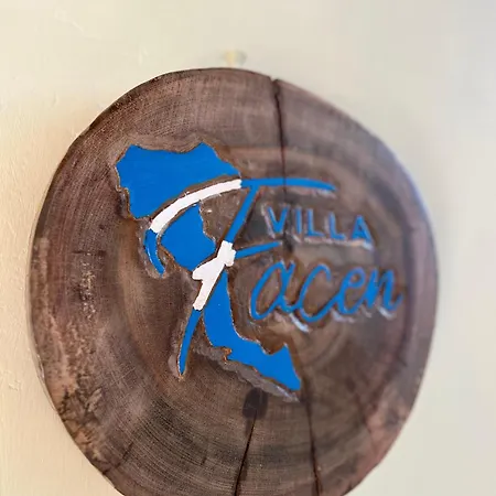 Facen Stella 라이아페이즈