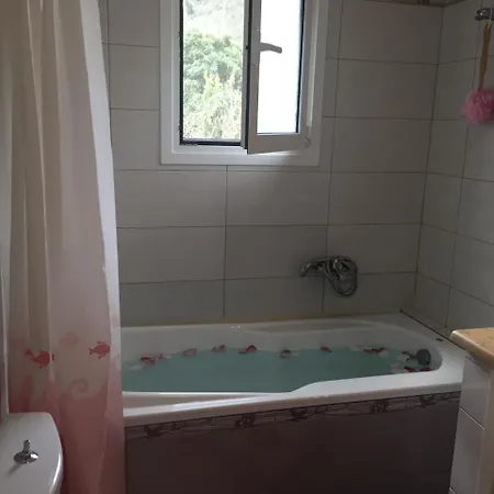 Facen Stella 라이아페이즈